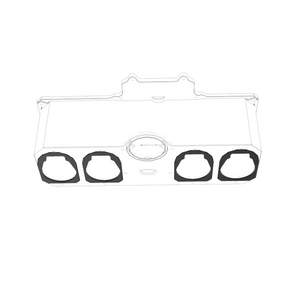 P30 2018 Pump Gasket