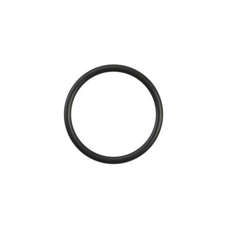 P150 Gearbox Silicone O-Ring
