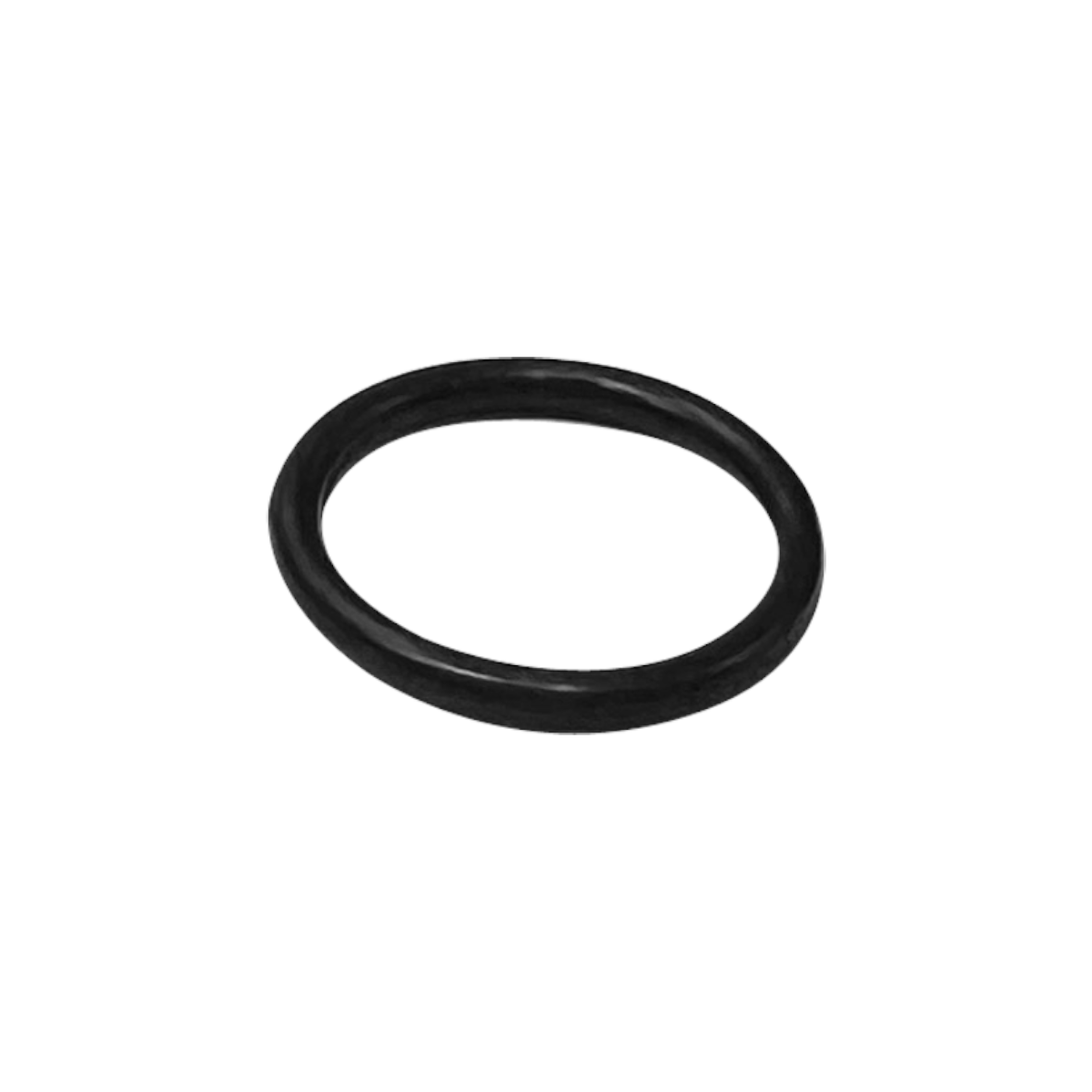 P100P/P100 Spiral Feeder Motor Gear Shaft Seal