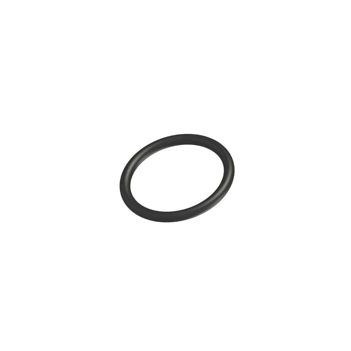 P150 Screw Feeder Shaft Seal Ring