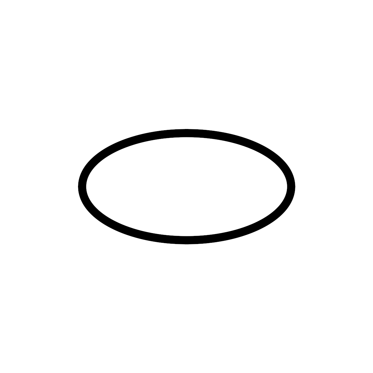 P150 Screw Feeder Shaft Seal Ring