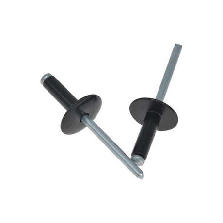 M4*12 Rivet
