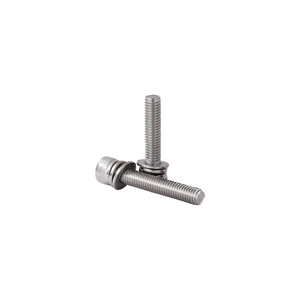 Hex Socket Head Cap Screw Kit (10PCS)