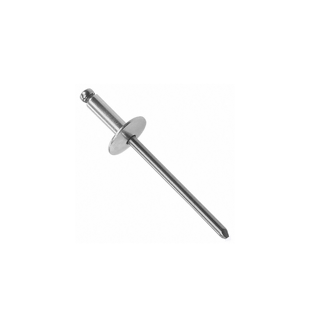 Rivet