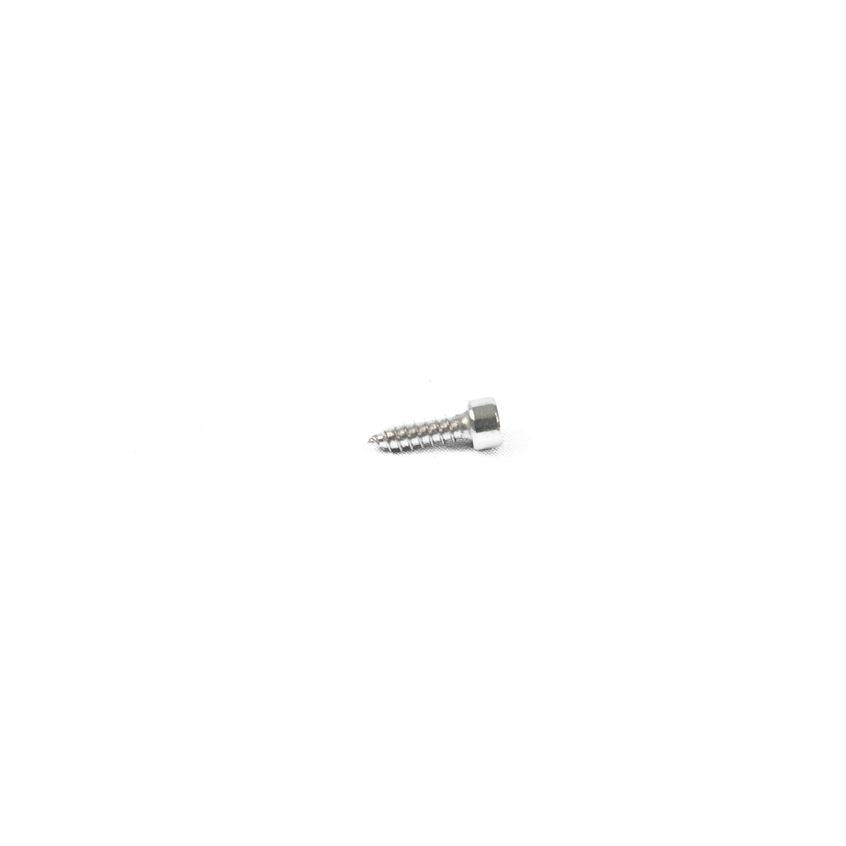 ST4.2*14 Tapping Screw (10PCS)