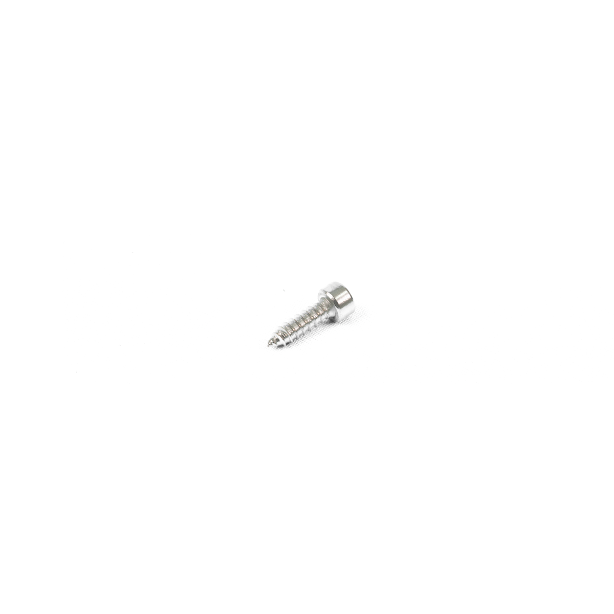 ST4.2*14 Tapping Screw (10PCS)