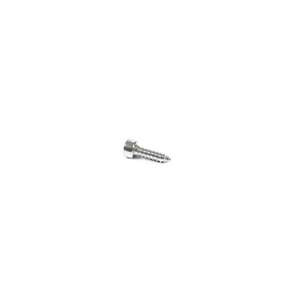ST4.2*14 Tapping Screw (10PCS)
